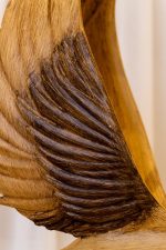 WB-H1857 تحفه - Image 5