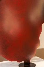 WB-DZ-0087 تحفه - Image 3