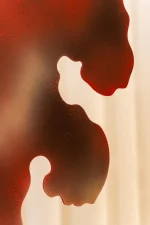 WB-DZ-0087 تحفه - Image 5