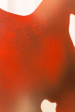 WB-DZ-0087 تحفه - Image 4