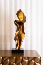 WB-DZ-1003A تحفه - Image 4