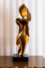 WB-DZ-1003A تحفه - Image 5