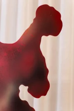 WB-DZ-0087 تحفه - Image 7