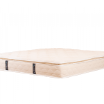 مرتبة دريمز بلوتوب